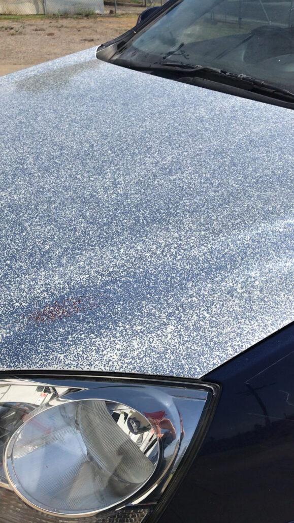 Bellarine Paint Panel Shimmering Flakes